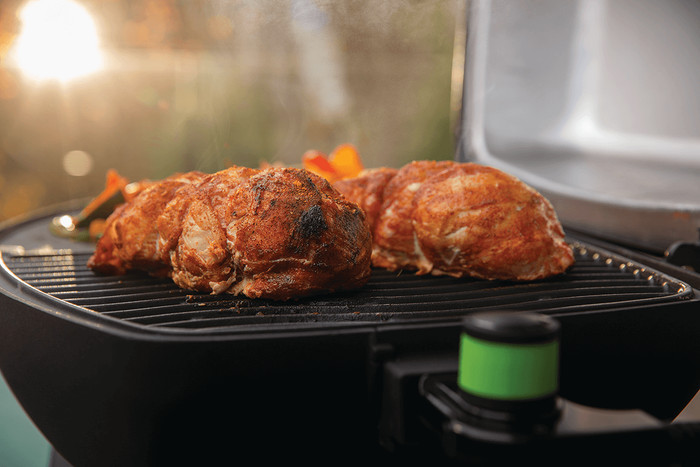 Napoleon TravelQ PRO285E product in gebruik