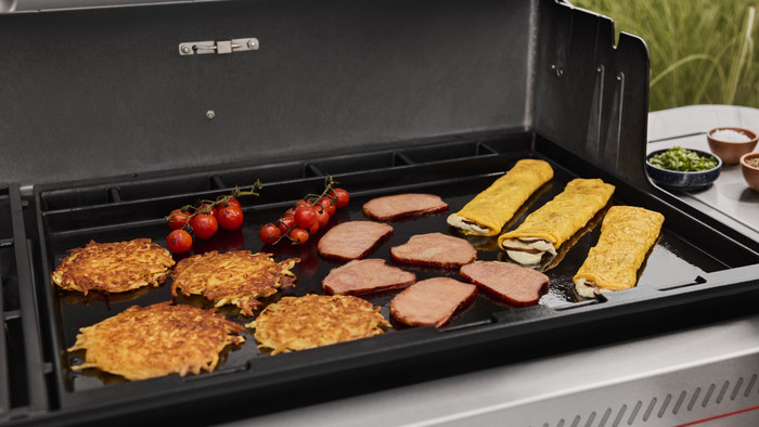 Weber Genesis EP-335W binnenkant