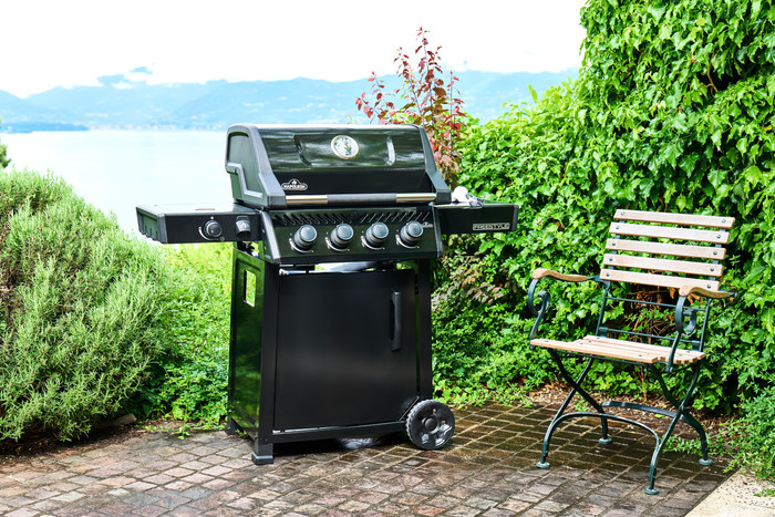 Napoleon Freestyle 425 SB Black product in use