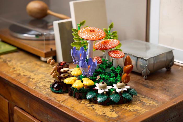 LEGO Botanicals Bospaddenstoelen 11505 product in gebruik