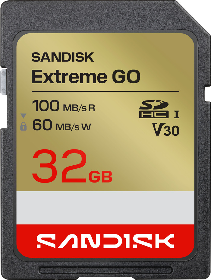 Sandisk Extreme GO SDHC 32 Go 100 Mo/s Main Image