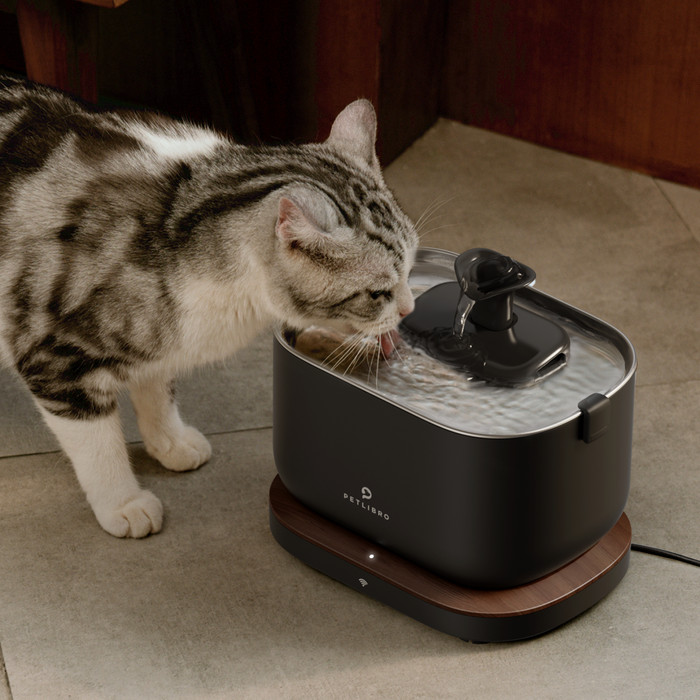 Petlibro Drinkfontein met App PLWF105 Zwart product in gebruik