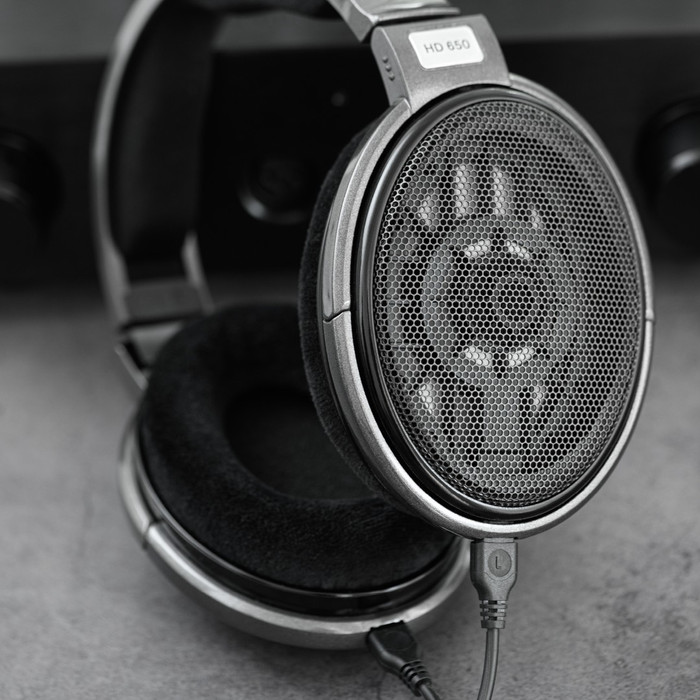 Sennheiser HD 650 product in gebruik