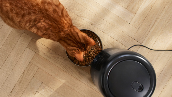 Philips Smart Feeder PAW3300/02 product in gebruik