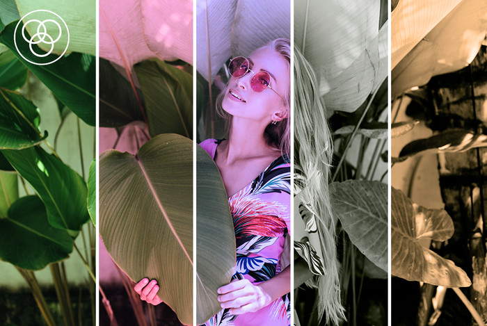 Rollei Mini Digitale Camera Zwart visual leverancier