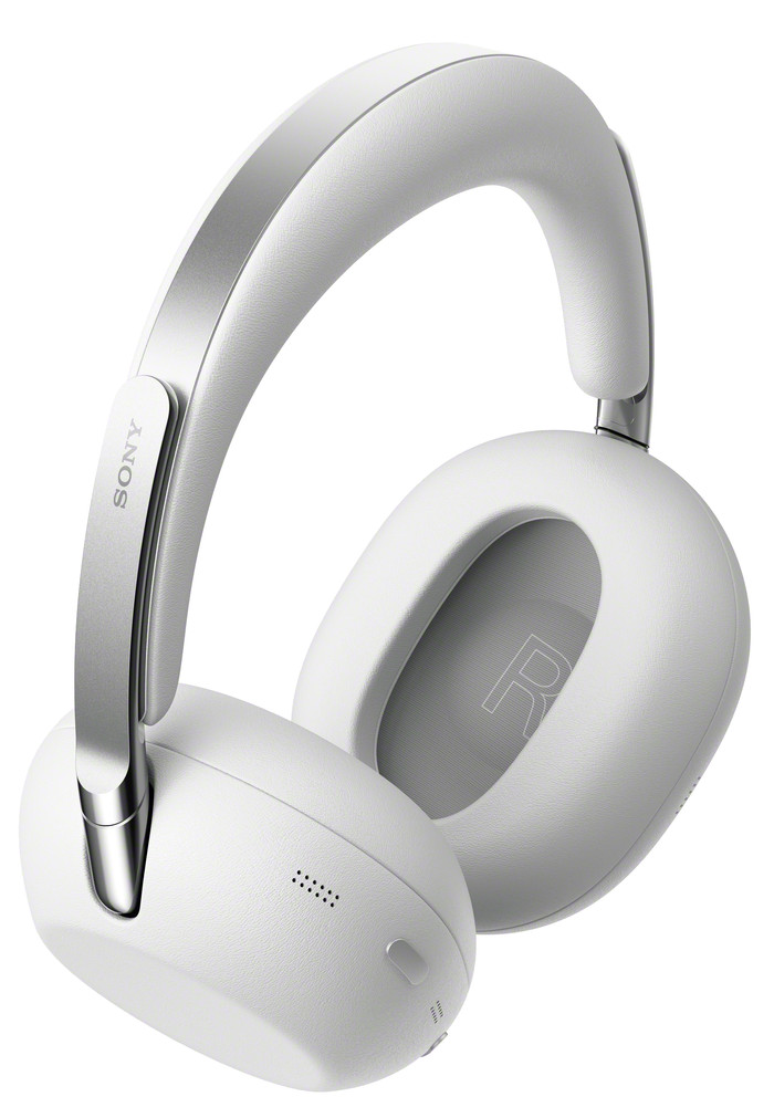 Sony 1000X THE COLLEXION Platinum linkerkant