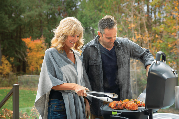 Napoleon TravelQ PRO285E product color detail