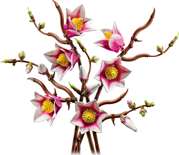 LEGO Botanicals - Branches de Magnolia 11510 Main Image