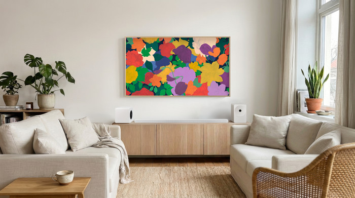 Samsung 65 inches The Frame Pro LS03FW (2025) + Samsung HW-S800D Black (2024) visual supplier