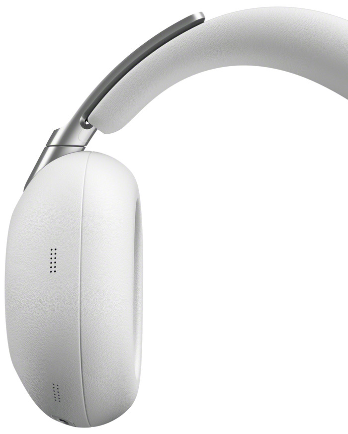 Sony 1000X THE COLLEXION Platinum detail