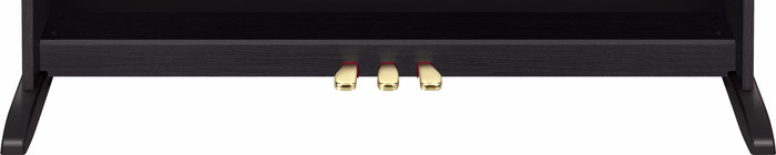 Casio AP-270 Zwart detail