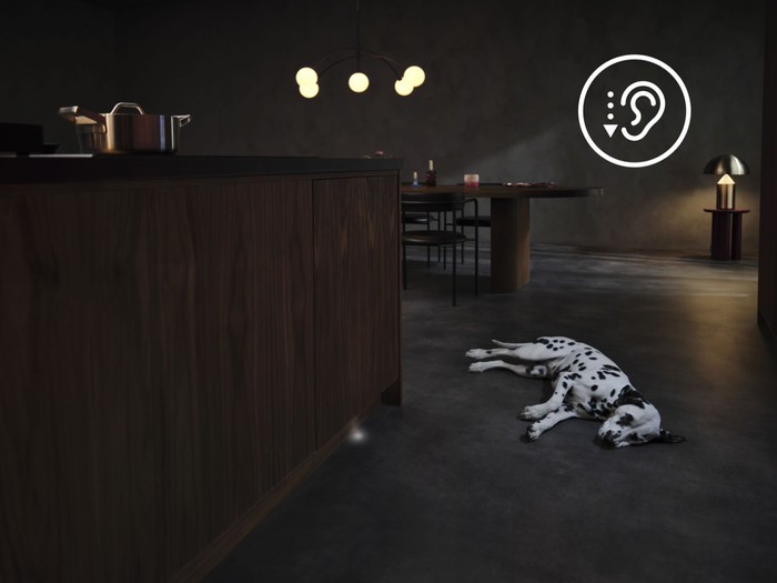 AEG GI8700C2SN visual leverancier