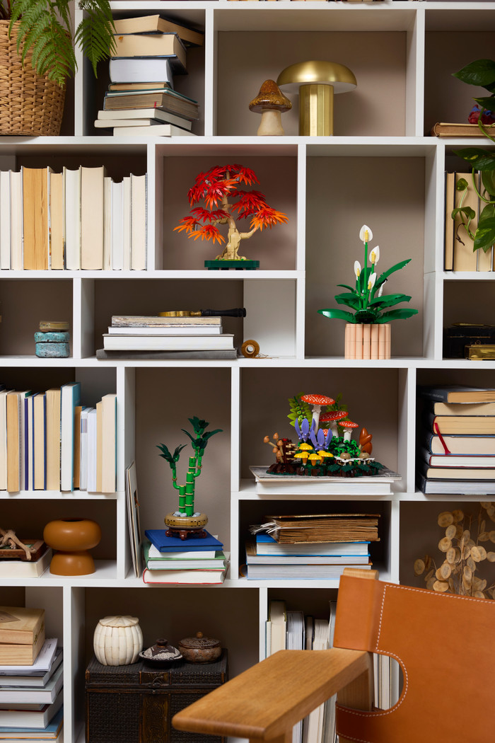 LEGO Botanicals Bospaddenstoelen 11505 product in gebruik