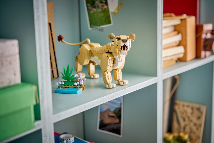 LEGO Creator 3-in-1 Wilde dieren: Majestueuze Leeuw 31386 product in gebruik