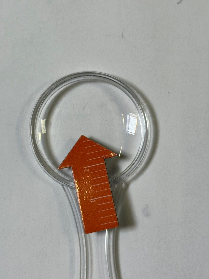 Bresser Set Microscope Junior 300x-1200x avec Valise 