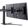 iiyama Monitor mount DS1002D-B1