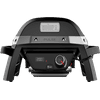 Weber Pulse 1000