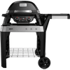 Weber Pulse 2000 avec Support