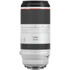Canon RF 100-500 mm f/4.5-7.1L IS USM