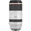 Canon RF 100-500mm f/4.5-7.1L IS USM