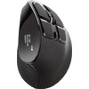 Trust Voxx Rechargeable Ergonomic Wireless Mouse