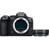 Canon EOS R6 Mark II + EF-EOS R Adaptateur