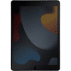 Just in Case Privacy Apple iPad (2021/2020/2019) Screenprotector Glas