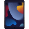 Just in Case Blauw Licht Filter Apple iPad (2021/2020/2019) Screenprotector Glas