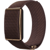 Polar Loop Brun