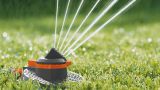 Wat heb ik nodig voor mijn tuin?
