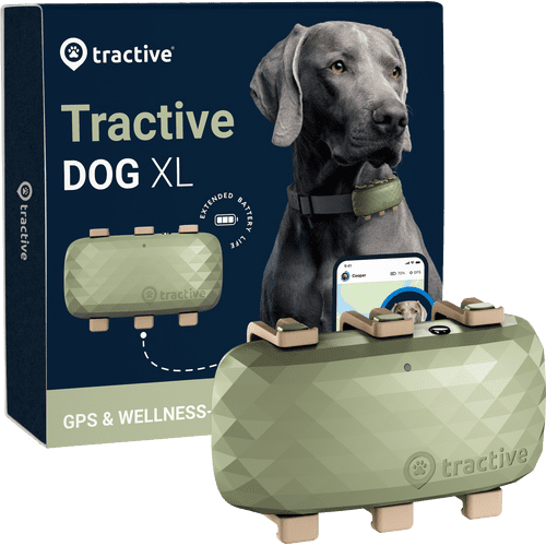 Tractive GPS CAT Mini in Dark Blue - Traqueur GPS pour chats