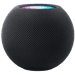 Apple HomePod mini Zwart