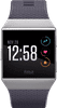 Fitbit Ionic Blue Gray & Silver Gray