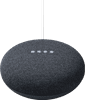Google Nest Mini Gris