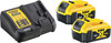 DeWalt XR Batterie 18V 5,0 Ah (2x) + Chargeur
