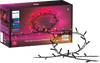 Philips Hue Festavia lichtsnoer - 20 meter - 250 LEDs