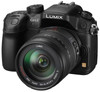 Panasonic Lumix DMC-GH3 + 14-140mm