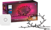 Philips Hue Festavia Guirlande Lumineuse - 20 Mètres + Détecteur de Mouvement