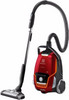 Electrolux UltraOne ZUOORIGWR+