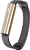 Misfit Ray Polished Gold/Bracelet Sportif Noir
