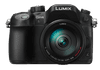 Panasonic Lumix DMC-GH4 + 14-140mm f/3.5-5.6