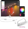 Philips Hue Festavia Guirlande Lumineuse - 9 Mètres - Extension