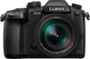 Panasonic Lumix DC-GH5 + DG Vario-Elmarit 12-60mm f/2.8-4.0 ASPH OIS