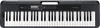 Casio Casiotone CT-S300 Black