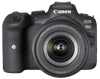 Canon EOS R6 + RF 24-105 mm f/4-7.1 IS STM