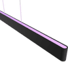 Philips Hue Ensis Suspension White and Color Noir