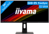 iiyama ProLite XUB3493WQSU-B1
