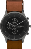 Skagen Jorn Hybrid HR SKT3201 Gris/Brun