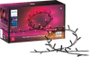 Philips Hue Festavia lichtsnoer - 20 meter - 250 LEDs