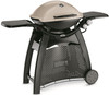 Weber Q 3000